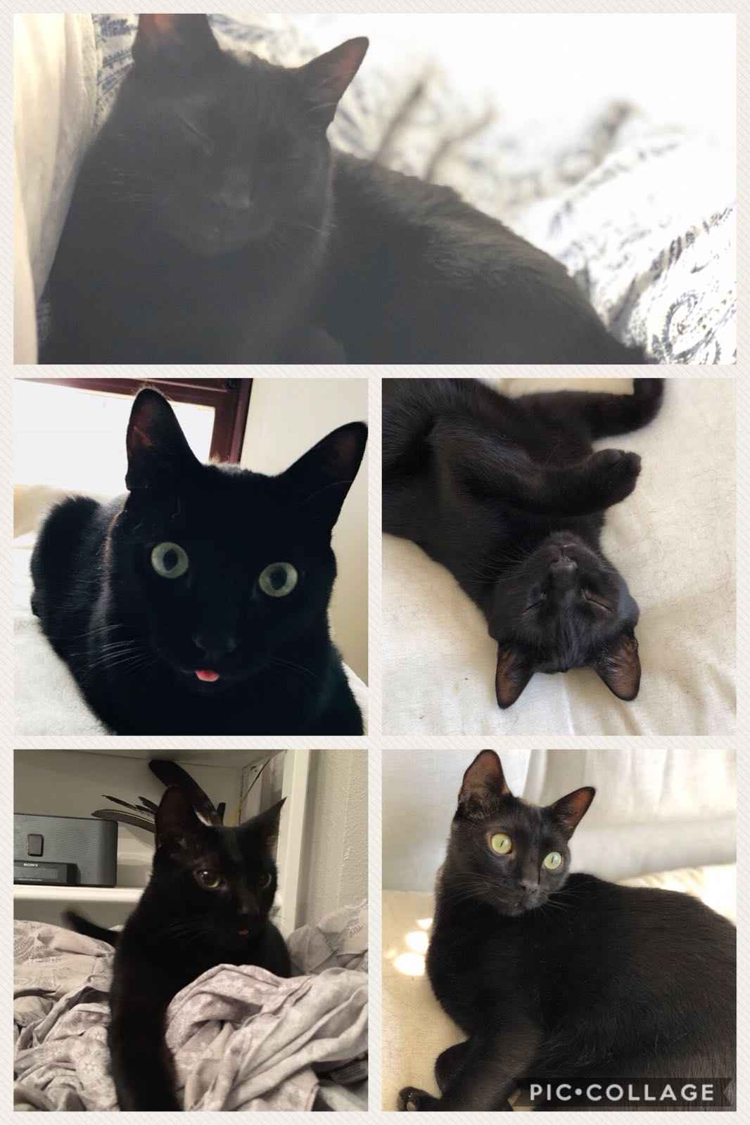 Image Title My Image