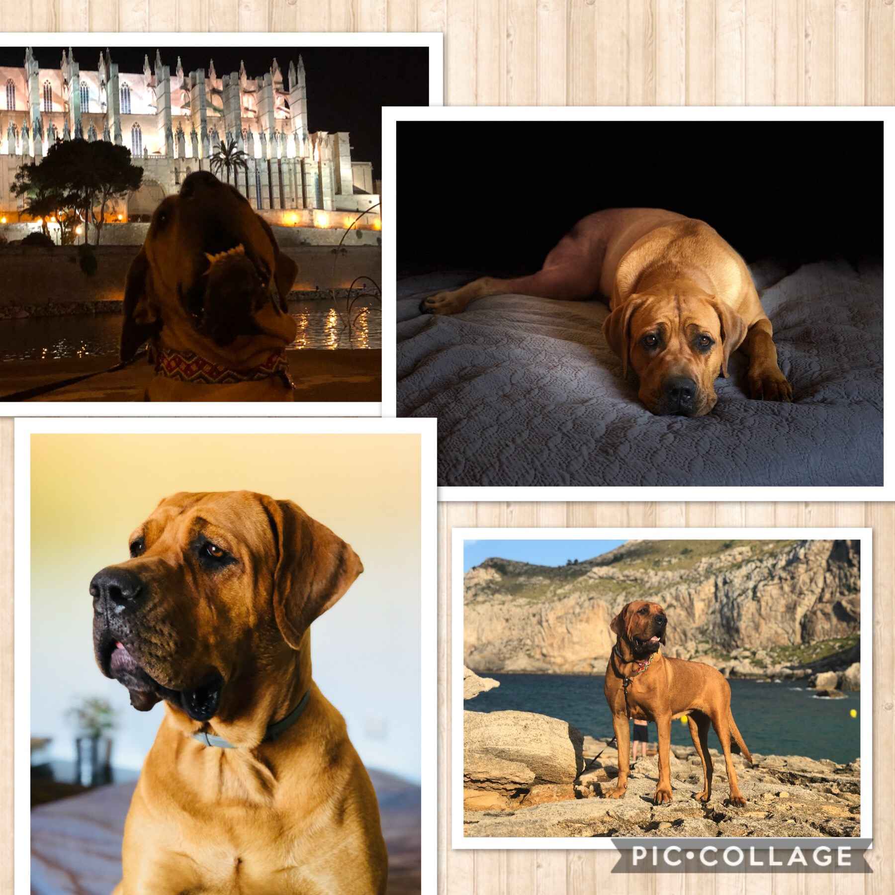 Image Title My Image